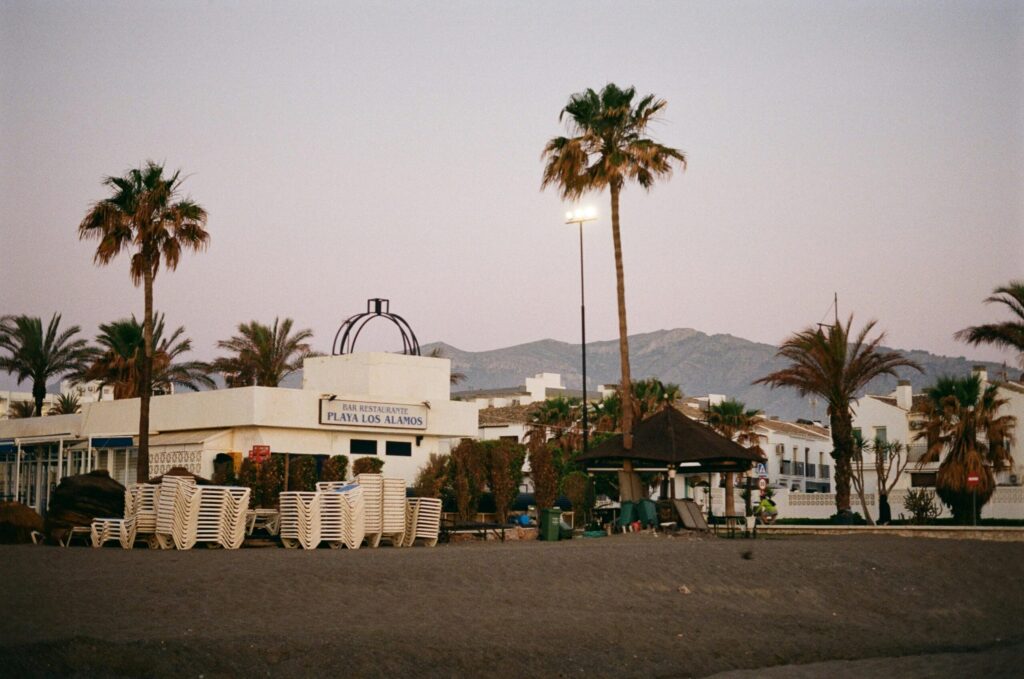 A serene sunrise view of Playa Los Alamos in Torremolinos, Spain featuring palm trees and mountain backdrop.