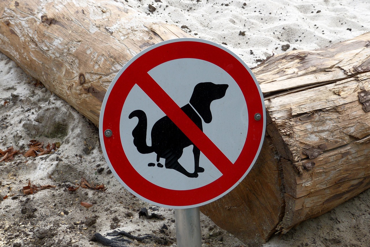prohibitory, sandpit, dog, animal, to play, children, dog poop, pet, sand